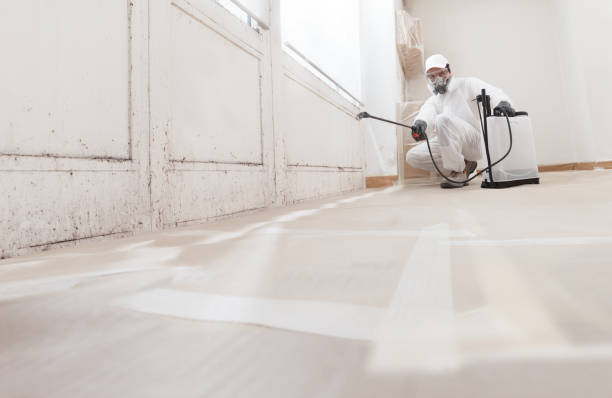24/7 Emergency Attic Mold Remediation experts in Jacksonville, TX